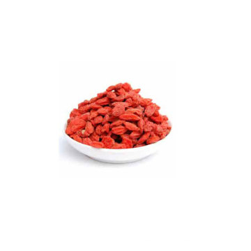 hot sell fresh goji berry full with vitamin